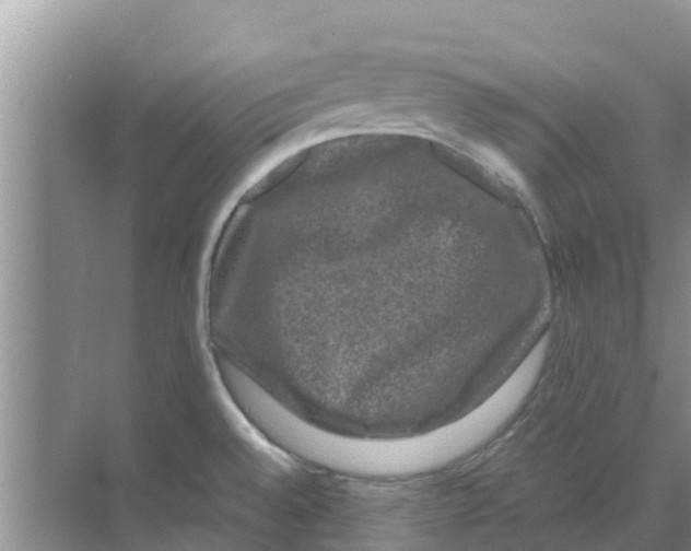 X0000070171528200606231908