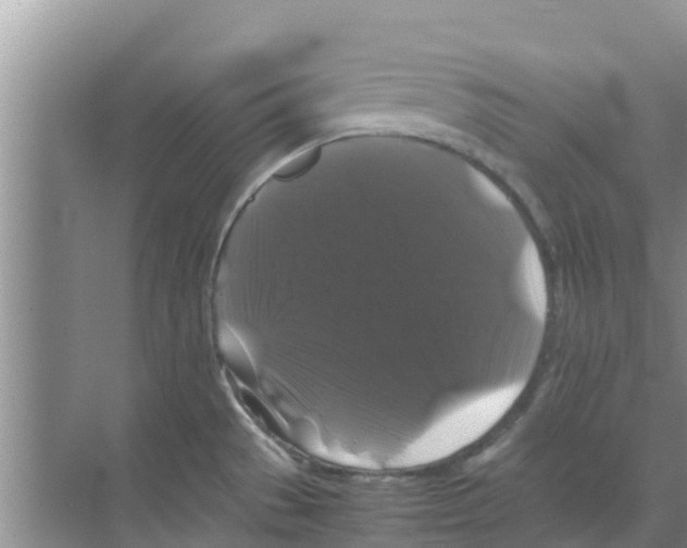 X0000070171529200606231908