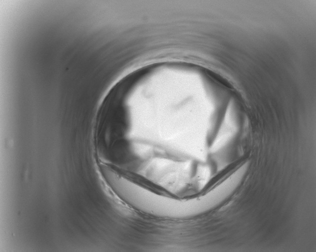 X0000070171530200606231908