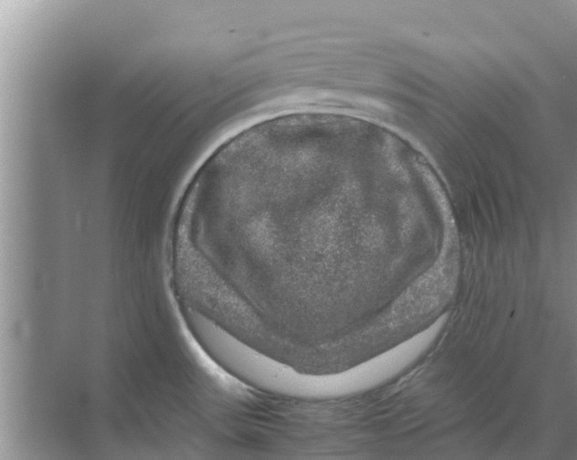 X0000070171531200606231908