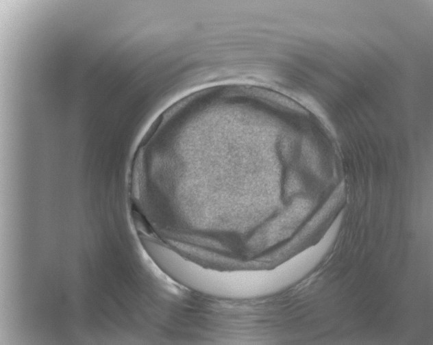 X0000070171532200606231908