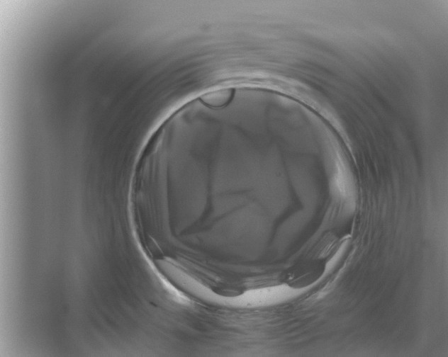 X0000070171533200606231908