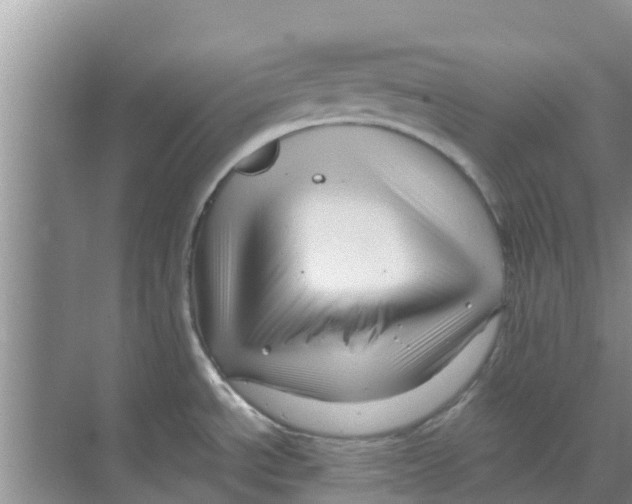 X0000070171534200606231908