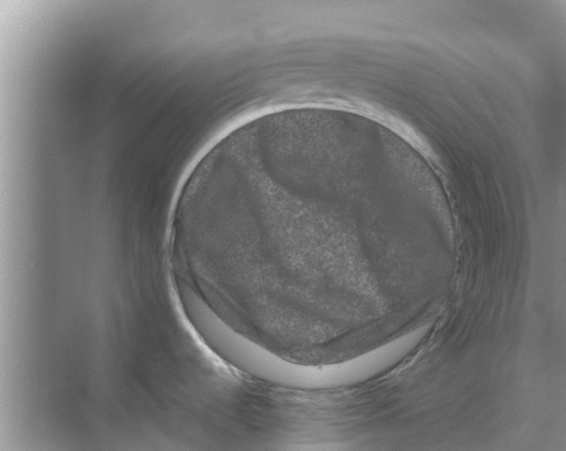 X0000070171536200606231908