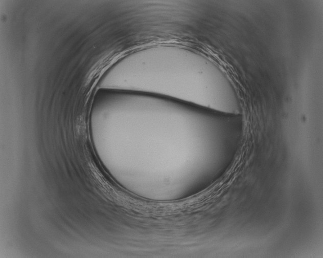 X0000070180002200605260951