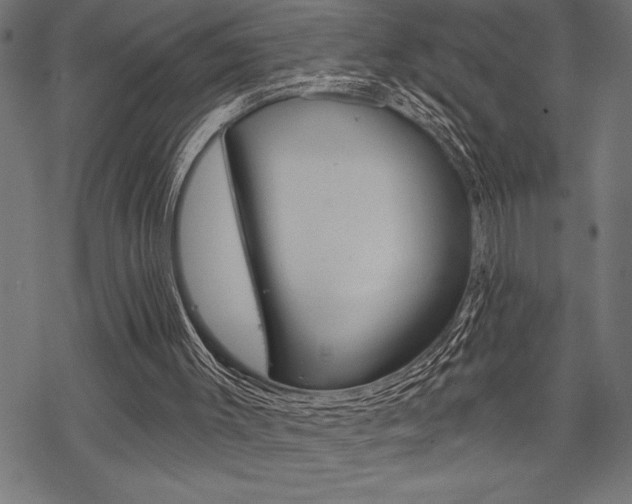 X0000070180003200605260951