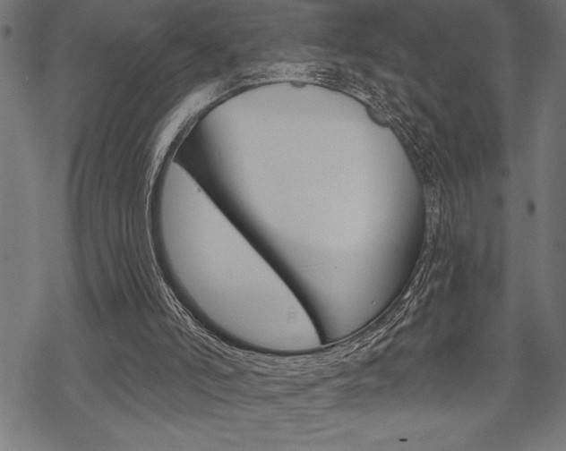 X0000070180006200605260951