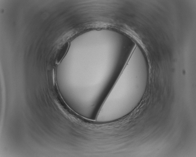 X0000070180013200605260951