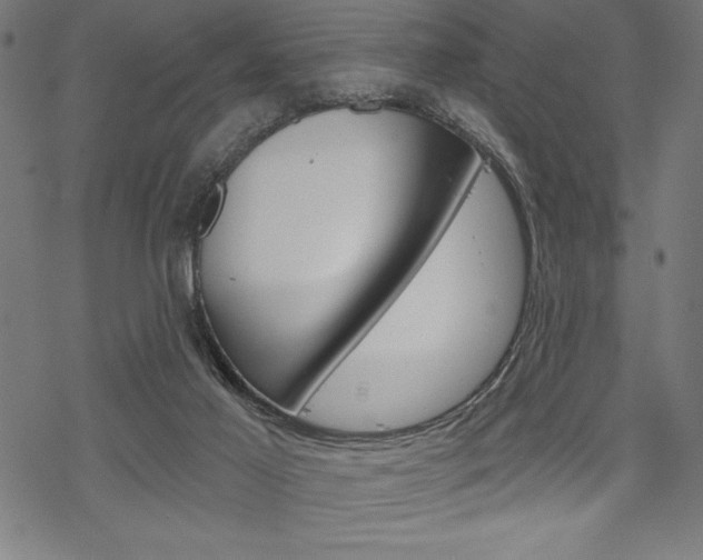 X0000070180021200605260951