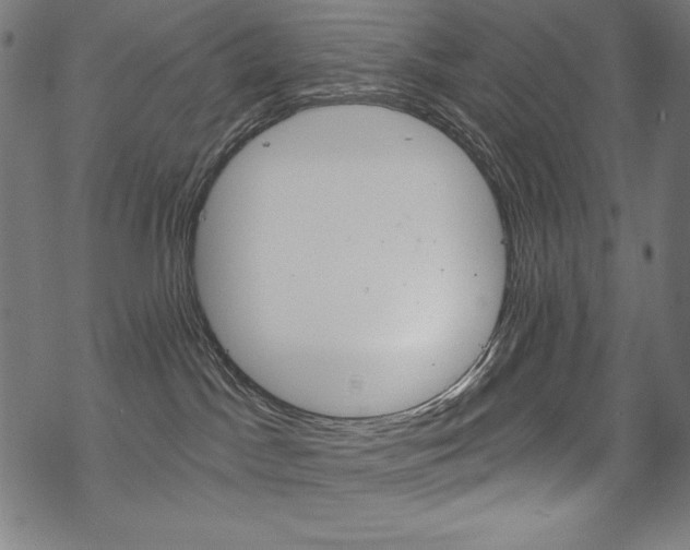 X0000070180045200605260951