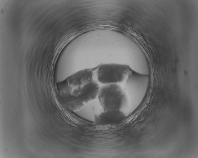 X0000070180049200605260950