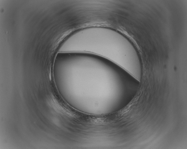 X0000070180062200605260950
