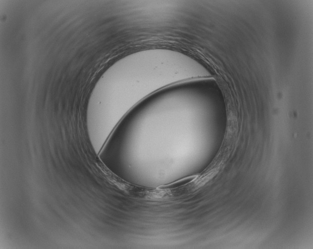 X0000070180096200605260951