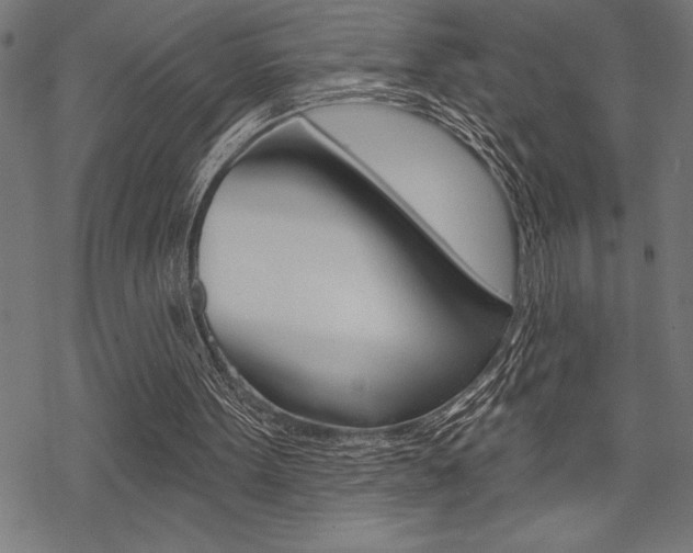 X0000070180099200605260950