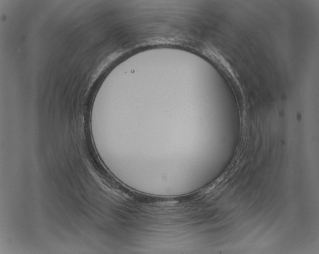 X0000070180108200605260950