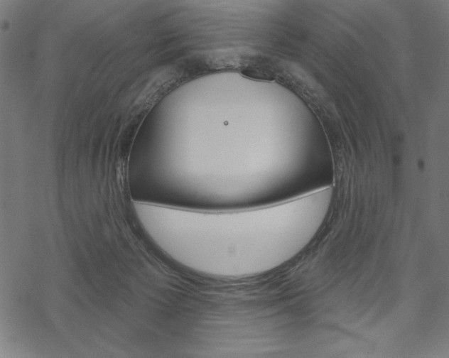 X0000070180125200605260949