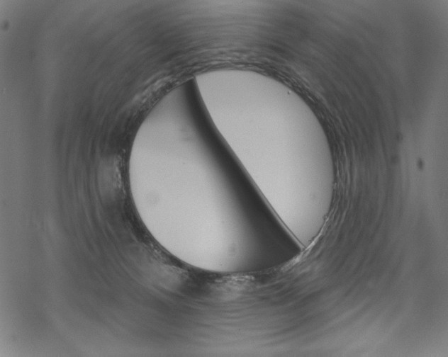 X0000070180128200605260949