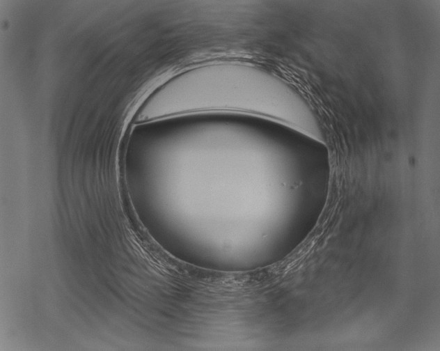 X0000070180148200605260948