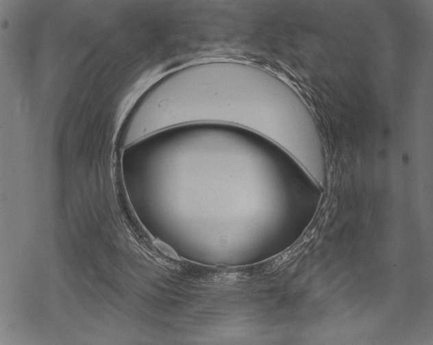 X0000070180152200605260948