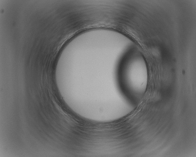 X0000070180164200605260949