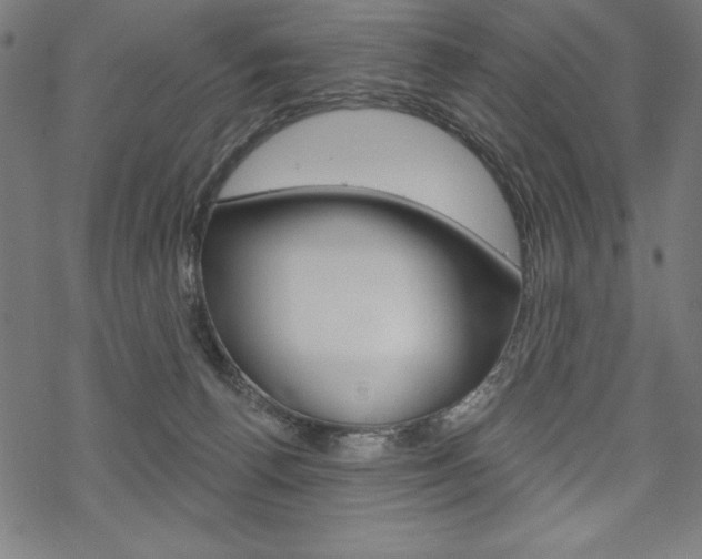 X0000070180176200605260949