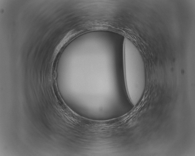 X0000070180195200605260948
