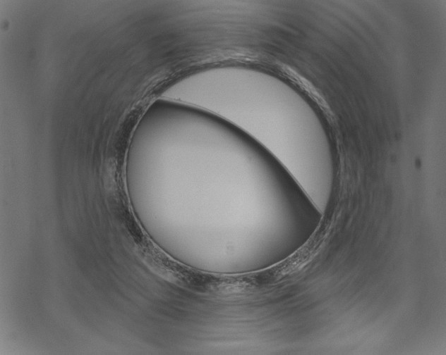 X0000070180209200605260948