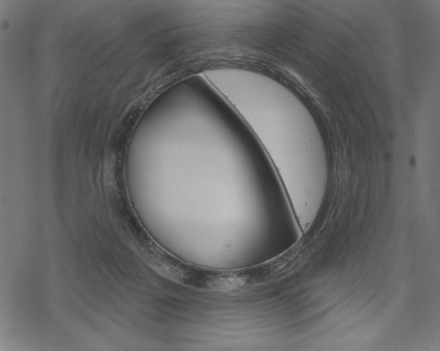 X0000070180217200605260948