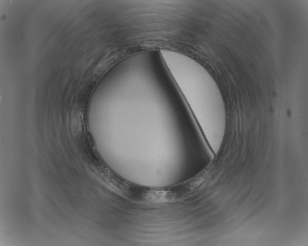 X0000070180227200605260948
