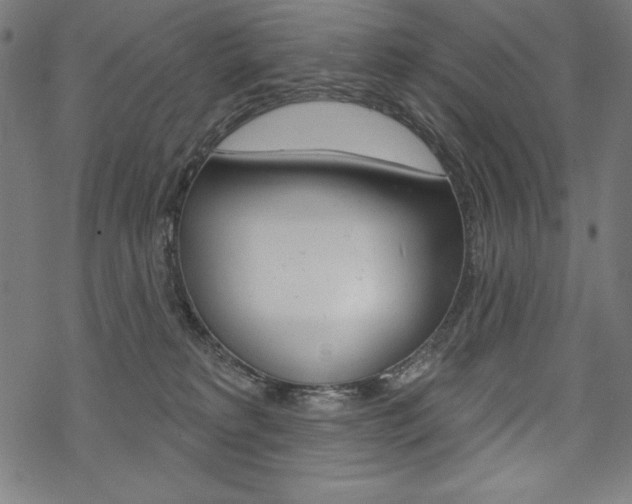X0000070180229200605260948