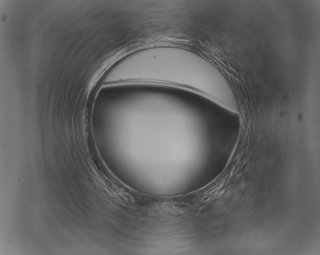 X0000070180244200605260947