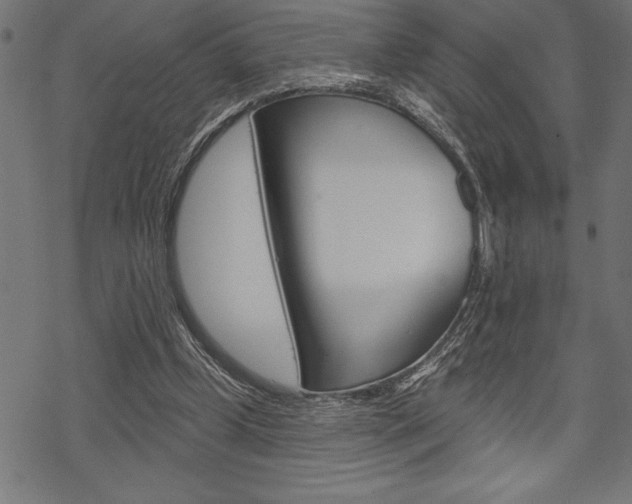 X0000070180249200605260947
