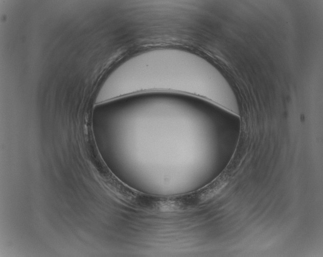 X0000070180264200605260947