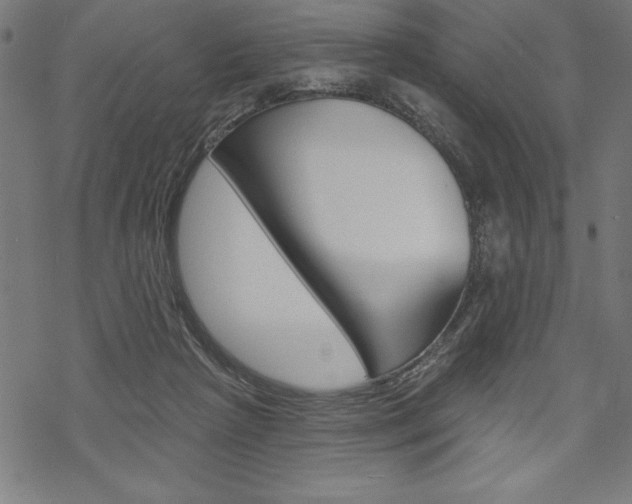 X0000070180265200605260947