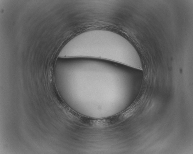X0000070180273200605260947