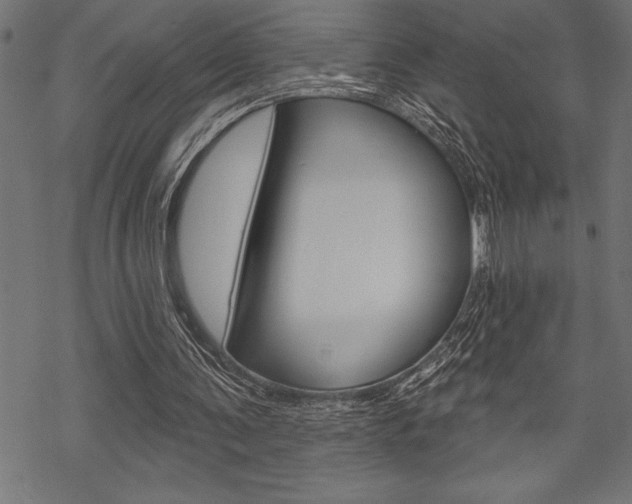 X0000070180291200605260947