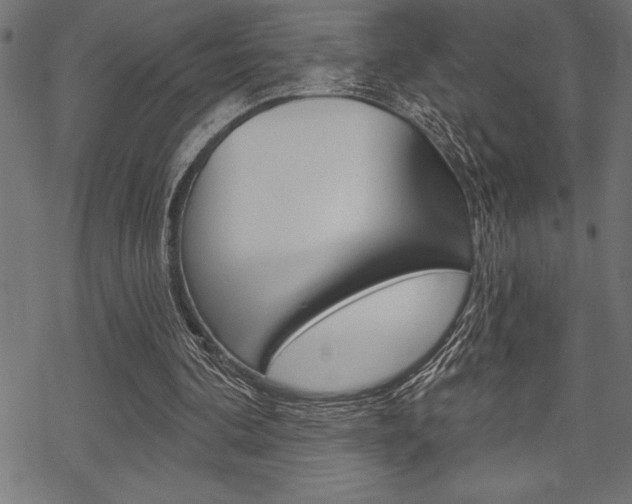 X0000070180292200605260947