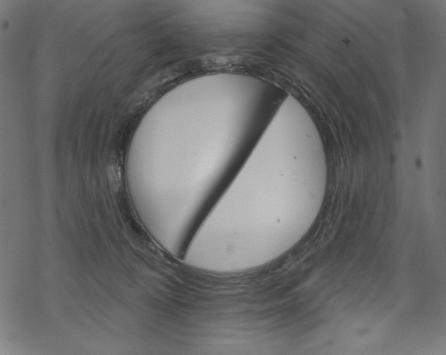 X0000070180324200605260946