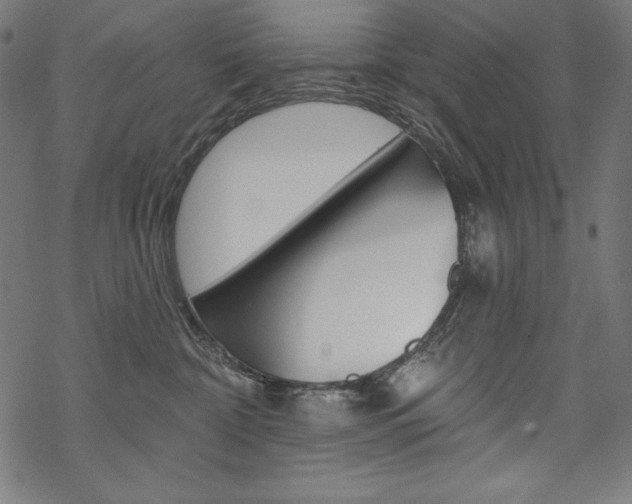 X0000070180332200605260946