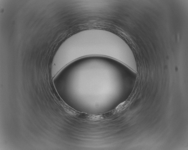 X0000070180333200605260946