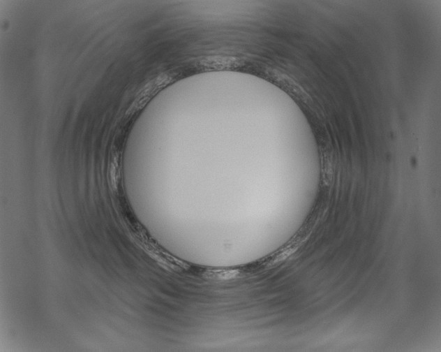 X0000070180334200605260946