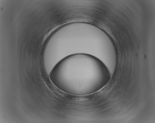 X0000070180348200605260945