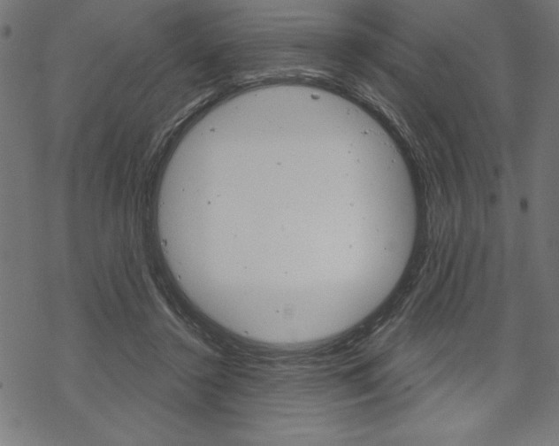 X0000070180356200605260945