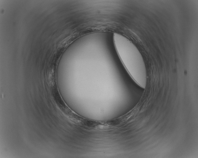 X0000070180364200605260946