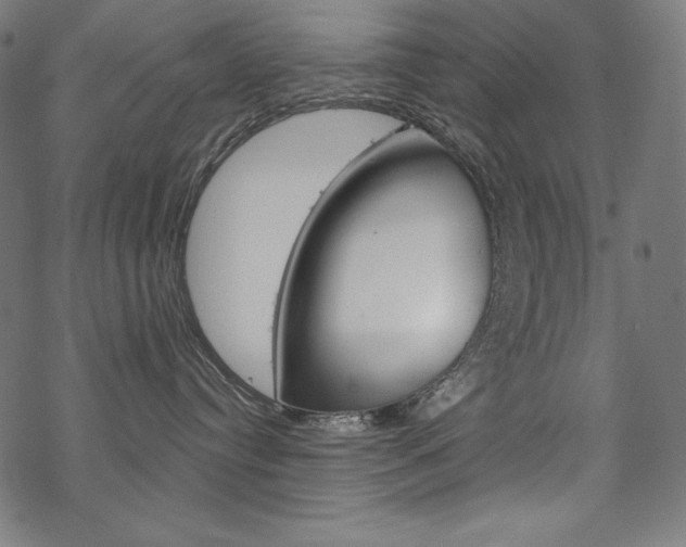 X0000070180384200605260946