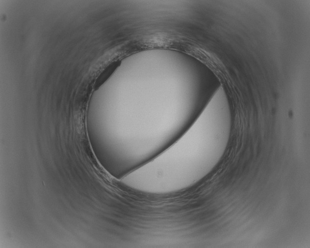 X0000070180409200605260945