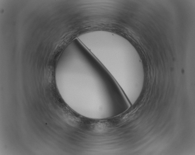 X0000070180412200605260945