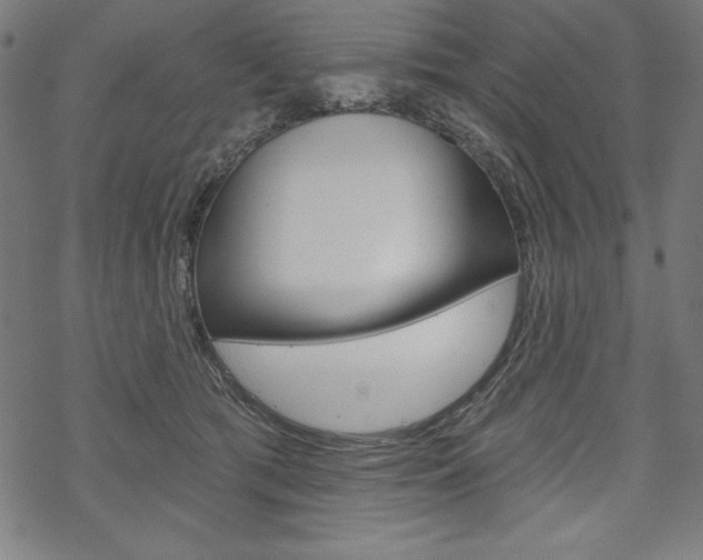 X0000070180417200605260945