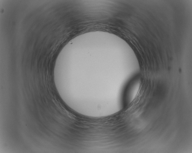 X0000070180424200605260944