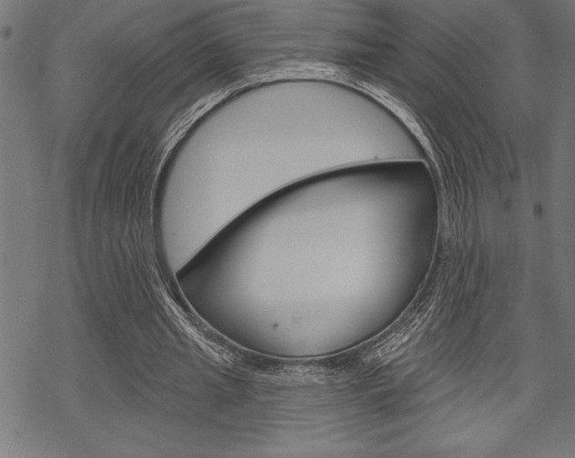 X0000070180437200605260944